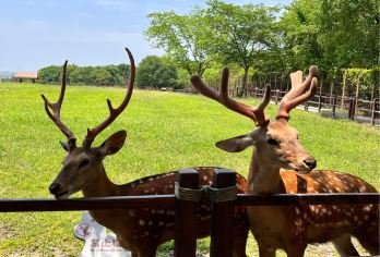 【金牌说】良渚古城讲解2.5小时大咖讲师领讲8人小团 可含票【[金牌导游讲师团]他们博古通今，幽默睿智，善于挖掘文物背后的故事，用有趣的方式还原历史真相；】