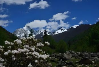 成都出发：四姑娘山双桥沟一日游（雪山与花海|资深司机）【可选英文导游|专车接送|行程可调|可定制行程】