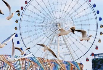 青岛西海岸金沙滩+城市阳台+东方影都包车一日游-可英文服务【可提供英文/韩语/日语导游服务-往返接送-可选导游-可代订门票】