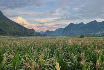 黔西南-万峰林+马岭河峡谷—导游/贵宾包车/一日游V【全程中文/英文/小语种服务，沟通无障碍，景点可调】