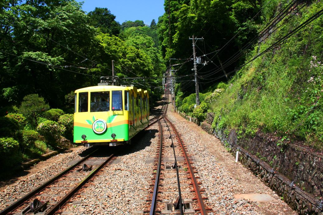 [Official Ticket] Keio Line One-Day Pass (Mount Takao/Tokyo Amusement Park: YOMIURILAND Train Ticket + Tokyo Amusement Park: YOMIURILAND Admission Ticket Multiple Packages Optional)