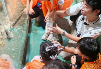 上海大自然野生昆虫馆2H深度人工讲解 自然科普讲师带队【品质出游】