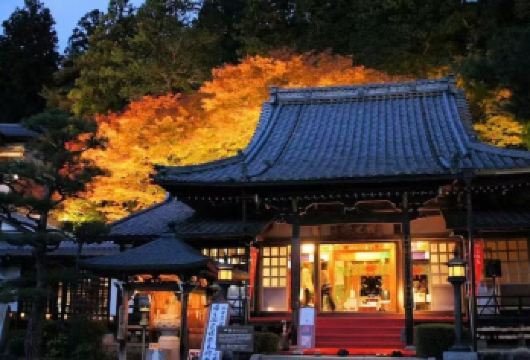 日本小樽/函馆/旭川/富良野/美瑛/登别-札幌包车可定全境【专属客服和本地中文司机，一家一团包车】