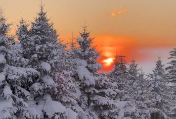 长白山魔界漂流+雪绒花驯鹿园【喂小鹿+赏雾凇】二道白河镇起止【24小时客服在线，为行程保驾护航】