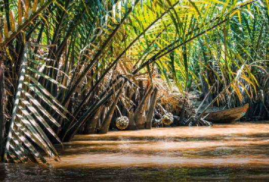 湄公河上游一日游（美寿 - 槟椥）【乘船游览湄公河，途经四大名岛：龙岛、麒麟岛、凤凰岛与龟岛 参观Vinh Trang Pagoda，一座融合多元建筑风格的**佛教寺庙 乘坐手划舢板，穿行于椰树成荫的坦塔运河】