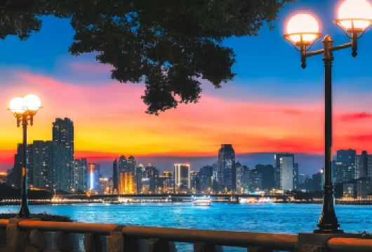 广州珠江日游含地道点心、电车、广州塔及7D玻璃博物馆体验【私家车服务 · 酒店接送 · 可选英文导游 珠江日间游船 · 粤式点心体验 · 本地茶文化 · 广州塔 · 城市有轨电车 · 7D玻璃博物馆 8小时完整体验 · 行程节奏舒适 · 无购物停留】