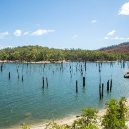 澳大利亚凯恩斯鸭嘴兽夜游