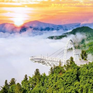 【1-8人拼小团】伊春+金山鹿苑+九峰山养心谷一日游