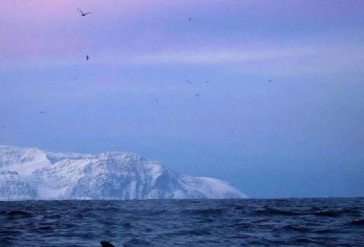 挪威奥斯陆市区一日游打卡经典网红景点-可包车-精选【专属客服和本地中文司机，一家一团包车】