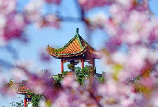 广州宝墨园+南粤苑+余荫山房+沙湾古镇一日游|私家团上门接送【[私家旅行]一单一团，不拼客，畅享专属旅行！5座/7座车上门接送，专职司机护航！】