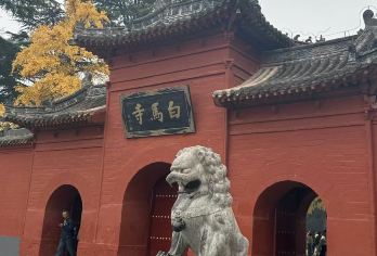 龙门石窟、白马寺+洛阳博物馆代约票+真人讲解+寻迹洛神赋演出【龙门石窟、白马寺、洛阳博物馆三大景区真人实地讲解，丰富、趣味，让您深刻了解河洛文化的璀璨历史】