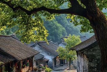 浙江丽水：古堰画乡+杨家堂+陈家铺+松阳老街  景点可定制G【全程中文/英文/俄语/小语种服务，沟通无障碍，景点可调,多种车型可选】