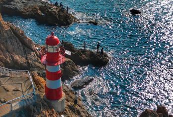 深圳大梅沙+小梅沙+背仔角+仙湖植物园包车一日游-可英文服务【可提供英文及小语种导游服务-往返接送-可选导游-可代订门票】