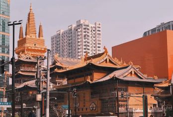 上海静安寺半日游【2-10人团+深度讲解】【[品质保障]优选商品，品质拒绝购物】