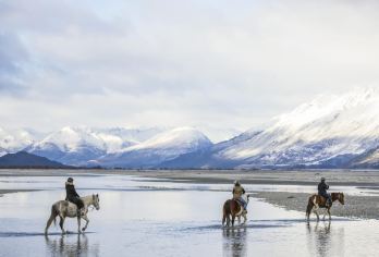 新西兰皇后镇/奥克兰 订制私人包车｜可多日｜可跨城｜可环岛游【尊享一对一高端行程定制，多日豪华包车专属礼遇，专业旅行顾问24小时恭候垂询。】