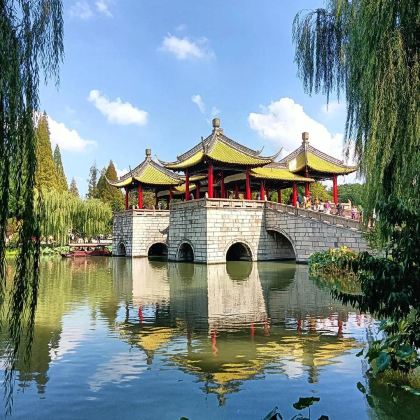 瘦西湖2小时包团人工讲解 橄榄游●资深大咖导游精讲