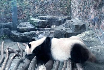 中山陵+红山动物园上门接送行程可调【专车加送】