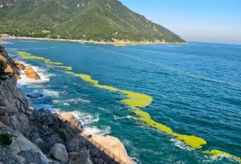 崂山仰口+太清+青山渔村+赶海+环海公路包车一日游/时间自由【私人订制，一车一单。按车收费8小时，市区不限公里】