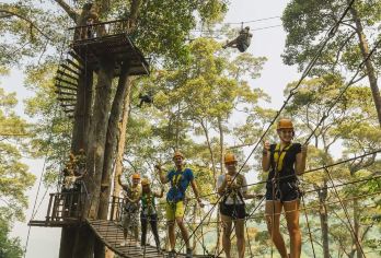 清迈大象营+飞跃丛林+粘粘瀑布一日游（中文司机包车）【和大象近距离接触，体验惊险刺激的丛林飞跃，感受原始瀑布的惊险刺激】