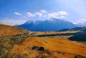 张掖马蹄寺+金塔寺一日游【金马公路·大都麻河观景·小车团】【[精致小团]小车团最多8人，有5座SUV、7座，9座商务车，具体车型按实际人数参团派车，上门接送。】