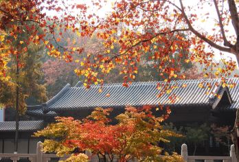 猩咖说南京总统府+栖霞山风景名胜区/总统府含门票含车拼团讲解【[精华之旅]总统府+栖霞山风景名胜区/总统府含门票含车拼团讲解】