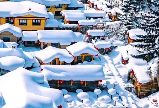 雪乡深度纯玩1日【亚布力起止】【亚布力起止雪乡一日游】