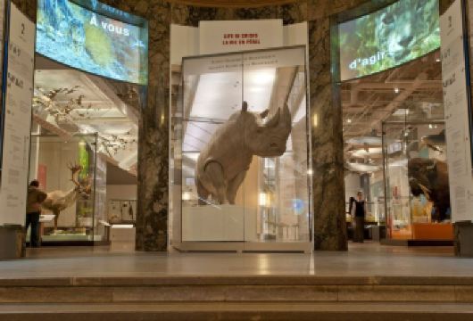 加拿大多伦多市区一日游【省时省心+行程灵活+VIP包车一站式服务+中文司导】