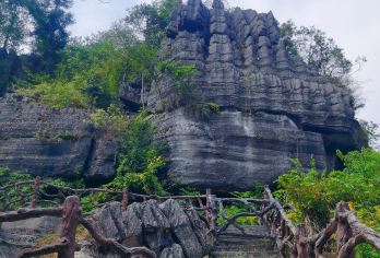 湖北恩施梭布垭石林+青龙台莲花寨+土司城包车一日游可英文服务【可提供英文及小语种导游服务-往返接送-可选导游-可代订门票】