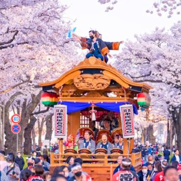 茨城日立樱花祭+雨引观音千本樱+海景日落一日游，东京出发