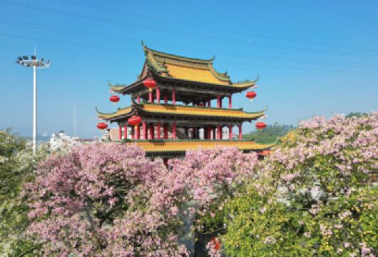 东莞观音山+松山湖+南社古村一日【包车游上门接送+含门票】【私家旅行：一单一团，不拼客，专属旅行；品质服务：5车上门接送，专职司机护航】