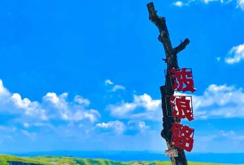 阿西里西大草原一日游【含门票+私家团+上门接送】【上门接送-无购物】