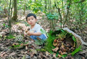 腾冲高黎贡山花寨3公里+野温泉泡脚+趣味野餐+摘菌子一日游【[雨林瀑布]探秘高黎贡山，徜徉天然的森林氧吧，观古木奇树、赏野生瀑布、识植物百科，找菌子；】