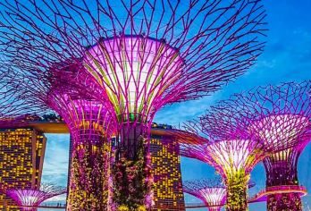 新加坡鱼尾狮公园+小印度+甘榜格南+哈芝巷等一日游【可定制】【[美食值得探访]冬阴功叻沙，缤纷水果，猫山王榴莲，美味田鸡粥，珍宝海鲜辣椒蟹，TWG国bao级下午茶】