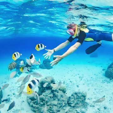 芽庄黑岛+东潭岛+汉潭岛/迷你岛三岛一日游【海钓/浆板】