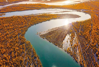 库车出发----沙雅穿越139胡杨秘境公路全程1日游【▼穿越哈德大桥观赏两岸千年胡杨+139胡杨秘境公路】