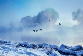 呼和浩特千岛湖+红石崖+敕勒川草原一日游【专属客服一对一服务、行前途中售后24h接待，省心出行】