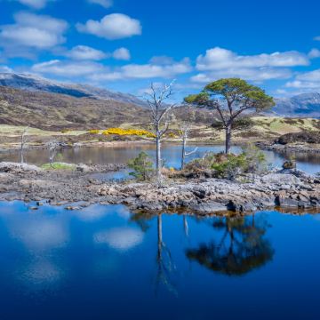 苏格兰北高地+阿勒浦+洛欣弗+NC500公路一日游|舒适小巴
