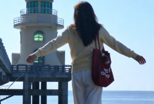 南澳岛一日游【本地专业司导+含过路费+纯玩+市区免费接送】【[专业司导]本地司导多年带客南澳岛，了解各种拍摄点，了解潮汕特色，不走回头路】