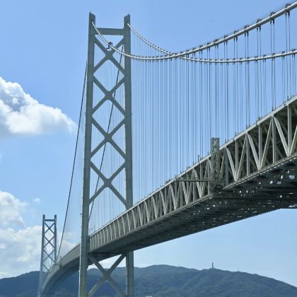 大阪往返｜和歌山城・黑潮市场・明石大桥海景一日游