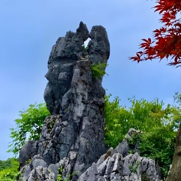 重庆华蓥山+看大熊猫一日游【专车接送/可选英导/不含门票】