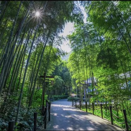 常州导游讲解服务