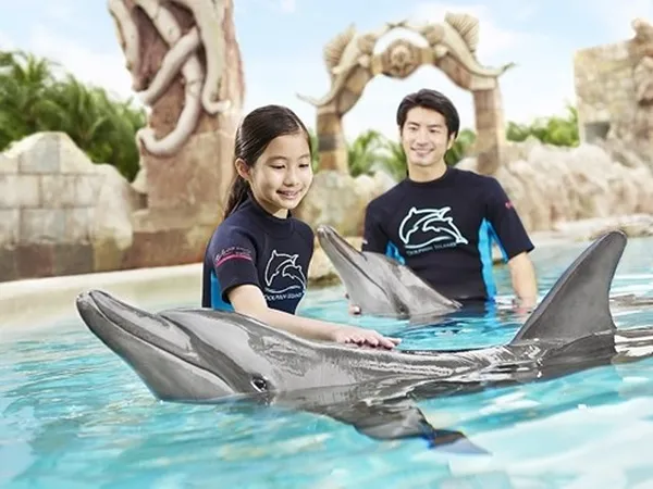 Dolphin Encounters at Adventure Cove Waterpark
