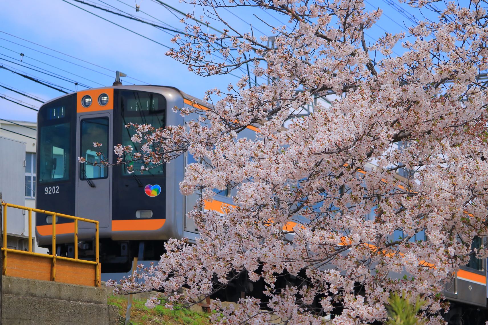 Hanshin electric railway 24-hr pass/Port Liner · Hanshin electric railway 24-hr pass
