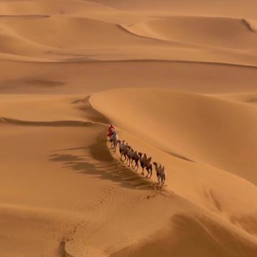 库尔勒罗布人村寨+塔克拉玛干沙漠+神女湖+塔里木河一日游