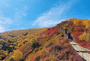 【金秋盛宴18人小团 】内蒙古包头马鞍山+五当召一日游【品质出游】