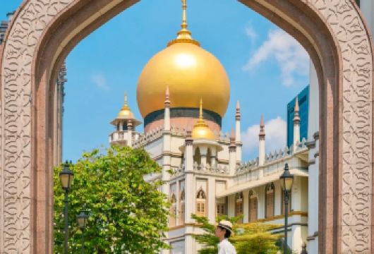 新加坡市区包车一日游-文化探索之旅-可多日包车-精选【包车一日游，解锁旅行新方式！独立车辆配备经验丰富的老司机，为您量身打造专属行程。】