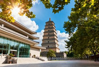 西安博物院【含门票预约+人工讲解/耳麦/可选场】【1.5小时趣味人工讲解+耳麦】