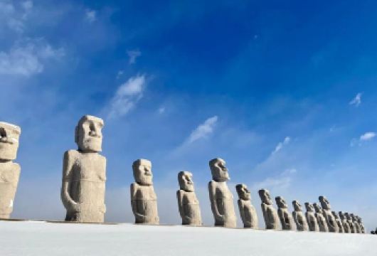 日本札幌+北海道厅旧本厅舍+薄野一日游/行程可调-可定制多日【包车一日游，解锁旅行新方式！独立车辆配备经验丰富的老司机，为您量身打造专属行程。】