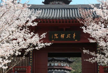 【南京包车游】+牛首山文化旅游区+夫子庙+夫子庙秦淮风光带【全天包车8H服务，行程自由可调整】