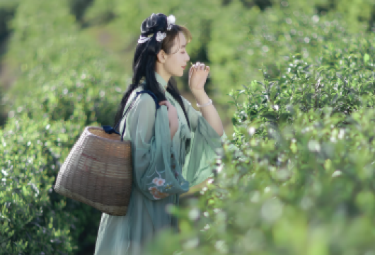 杭州私人日游：汉服换装、采茶体验与云栖竹径【汉服与茶艺体验——穿上传统汉服，亲手采摘新鲜龙井茶叶，并在互动文化工作坊中烘焙专属茶叶。 云栖竹径——漫步幽静的竹林，欣赏令人惊叹的自然风光，是拍照与放松身心的**去处。 六和塔——探索这座历史建筑瑰宝，饱览钱塘江的壮丽全景。】